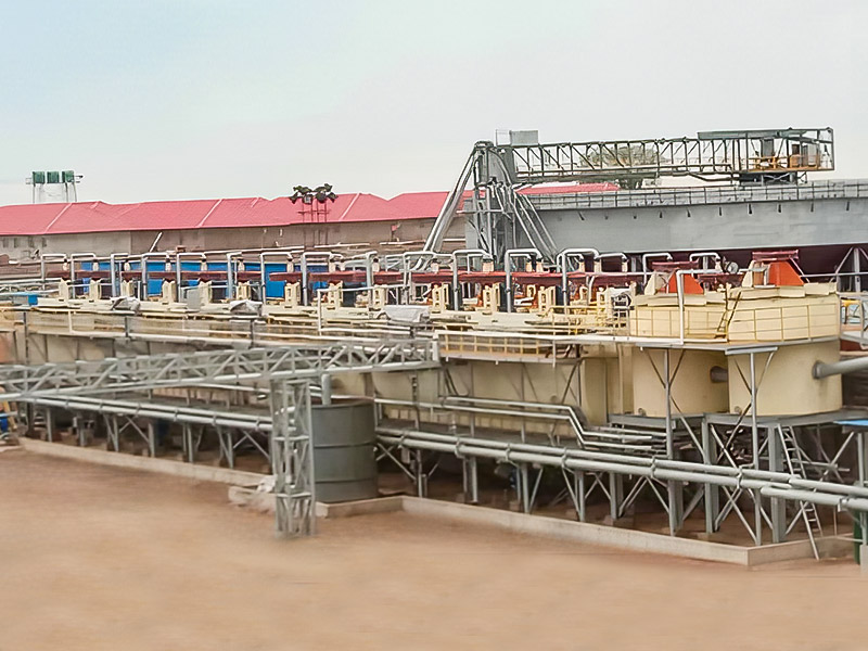 Proyecto de procesamiento de minerales Zimbabwe Lepidolite 3000T/D - Zhejiang Dingsen Holding Co., Ltd.